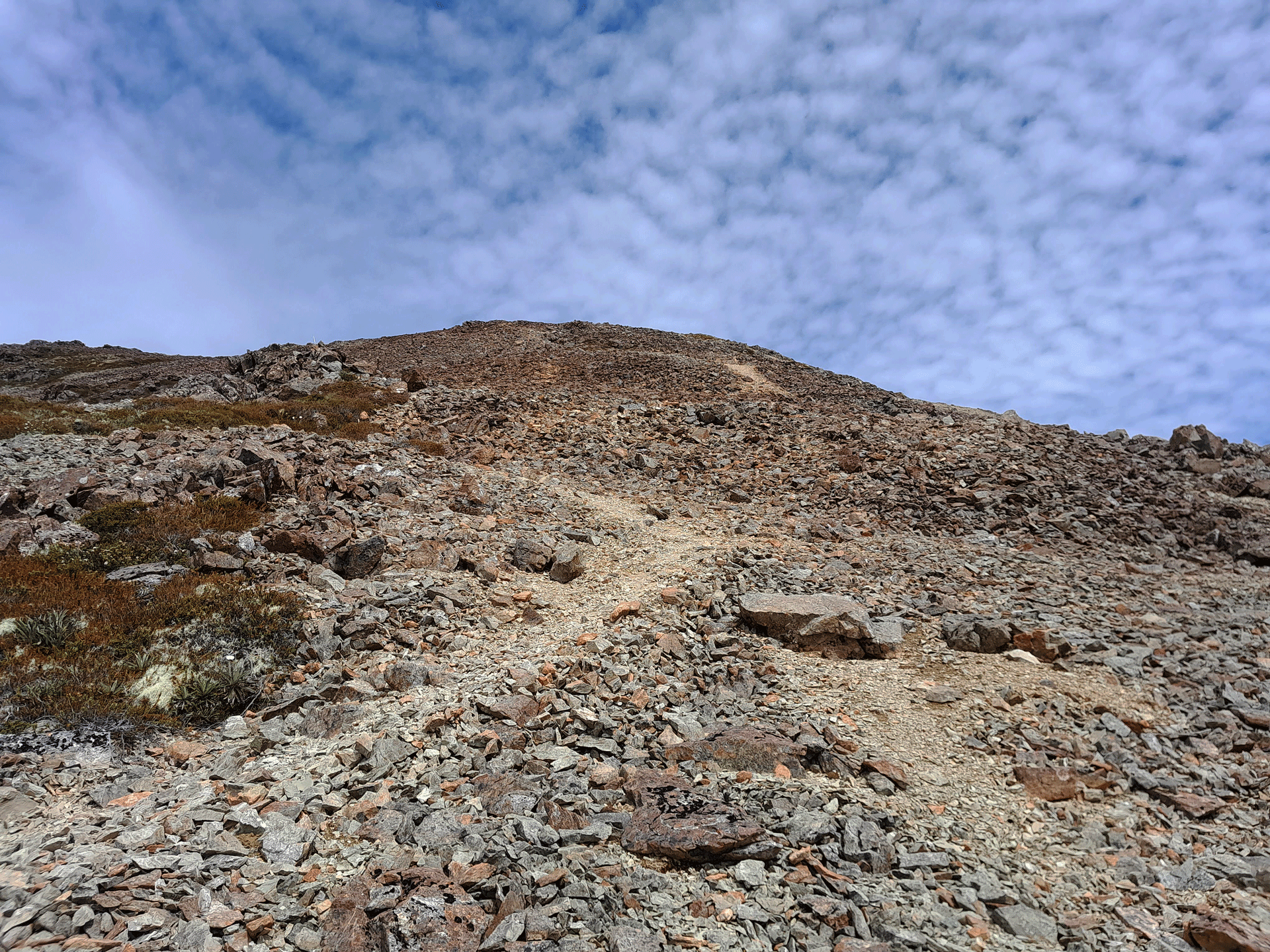 TracktoMtRintoul Wellington Tramping and Mountaineering Club