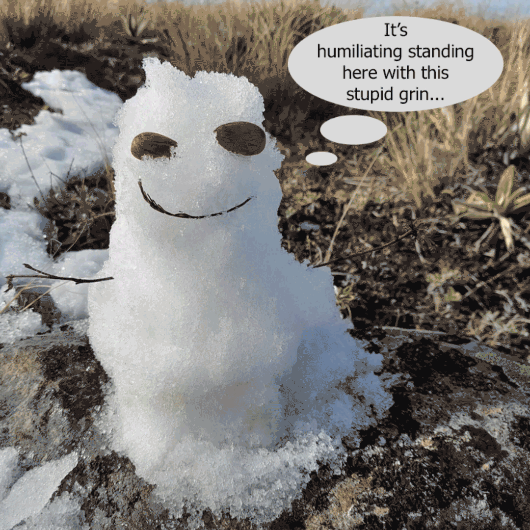 Mt Potts and Dogs Range frozen boots and bobsleds Wellington