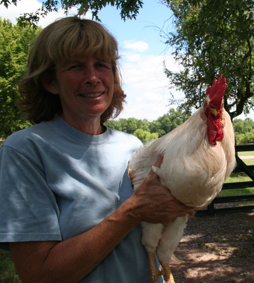Kicked from the coop Urban farmers ditching chickens WTOP News