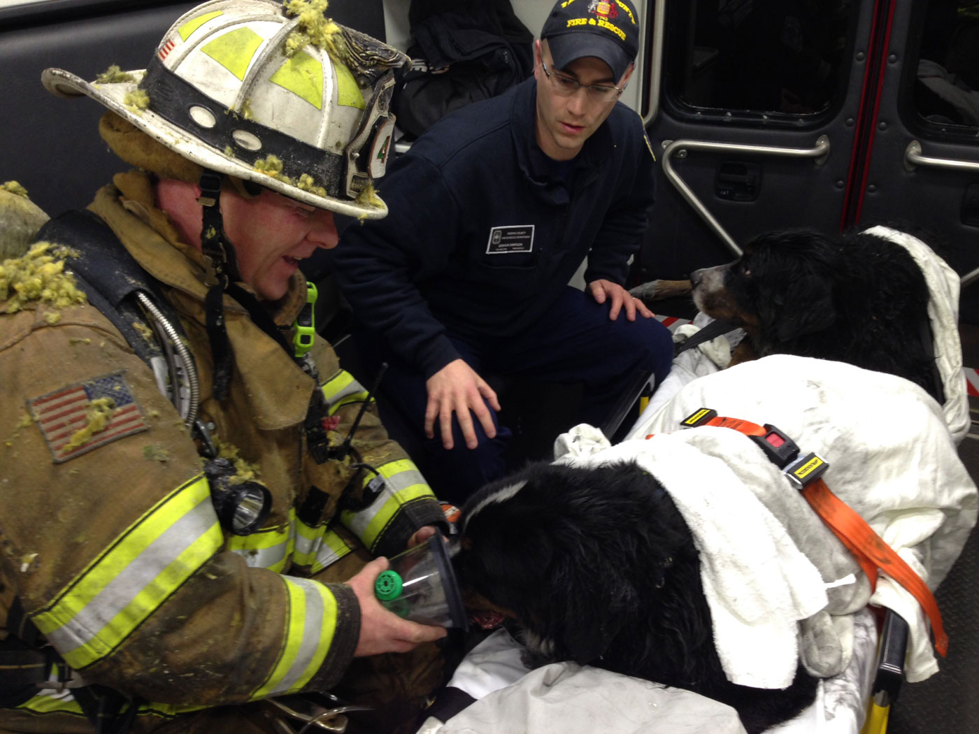 Va. firefighters raise money for burned fire dogs WTOP News