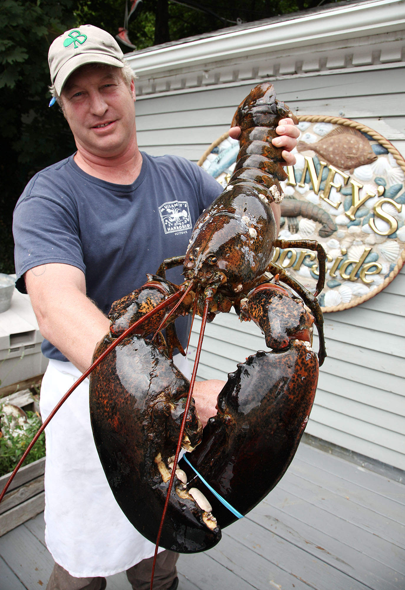 18pound lobster gets reprieve WTOP News