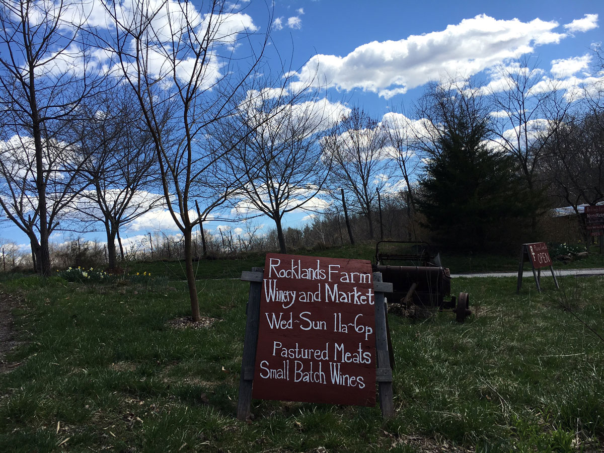 Md. farm offering ‘rentachick’ program WTOP News