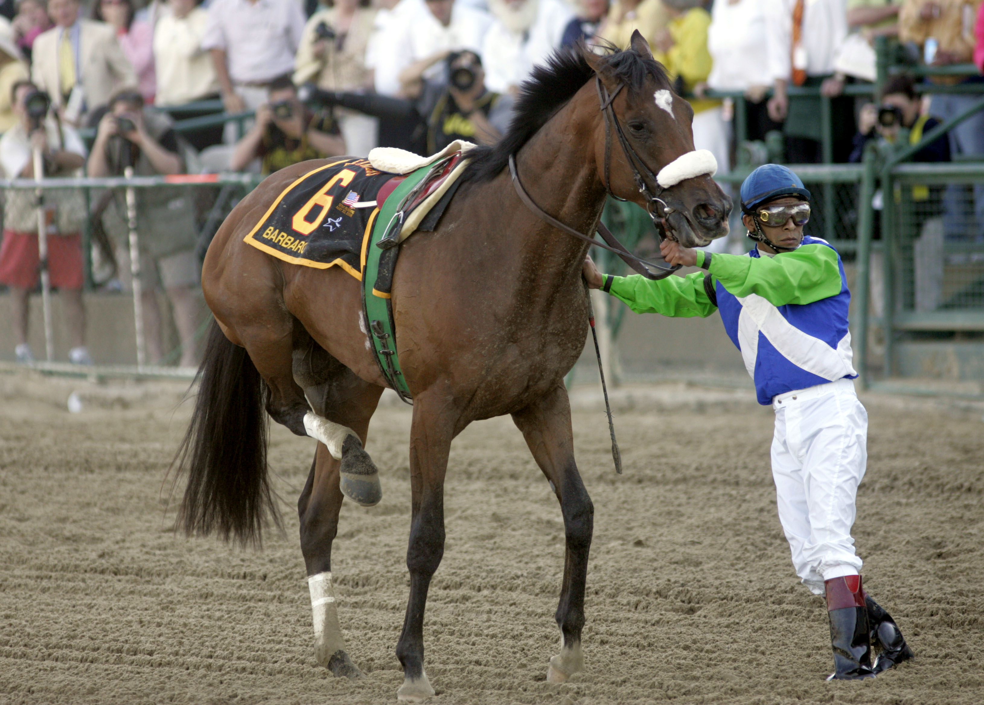 A look at some wellknown horse deaths in races ranging from the