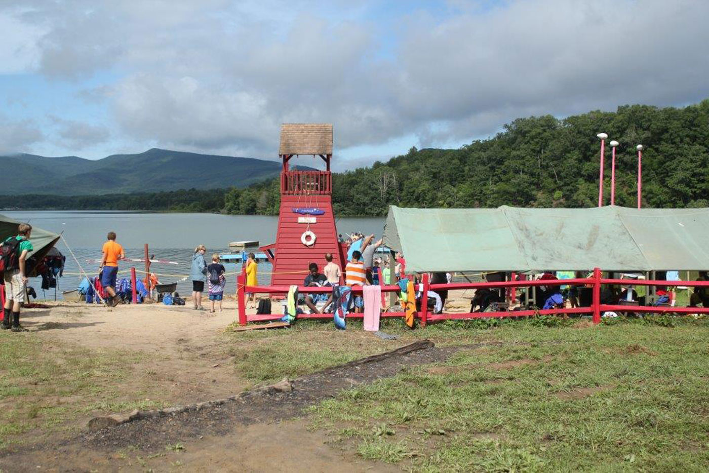Eagle Gallery bald eagle campground chemainus
