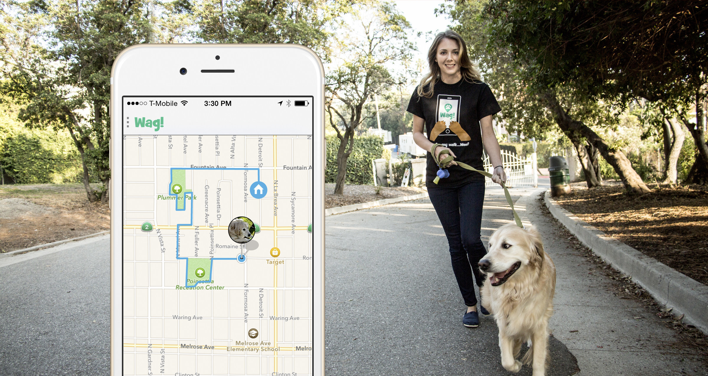 A dogwalking app comes to DC WTOP