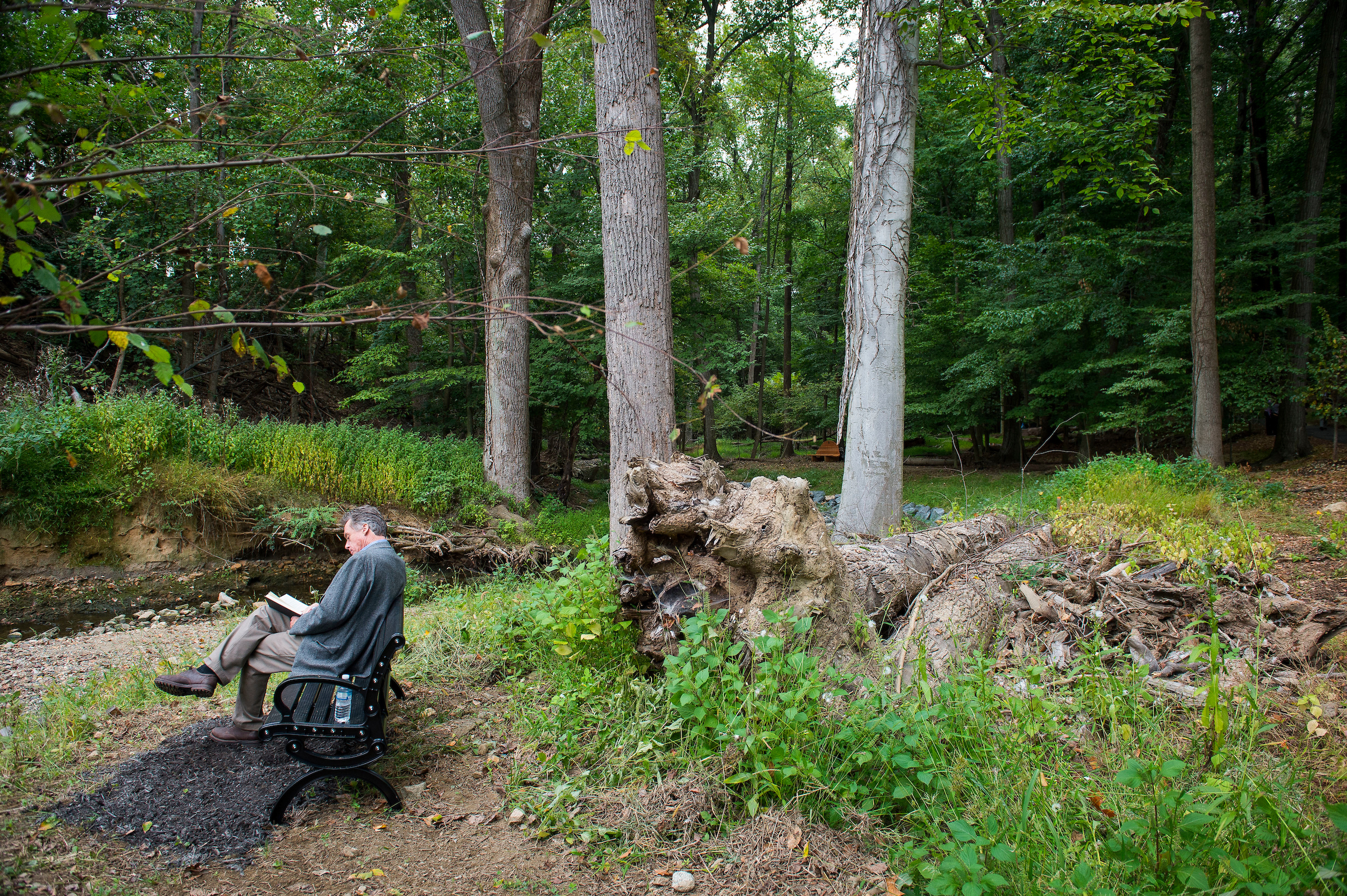 Nature as treatment? Road to healing PTSD is Green WTOP