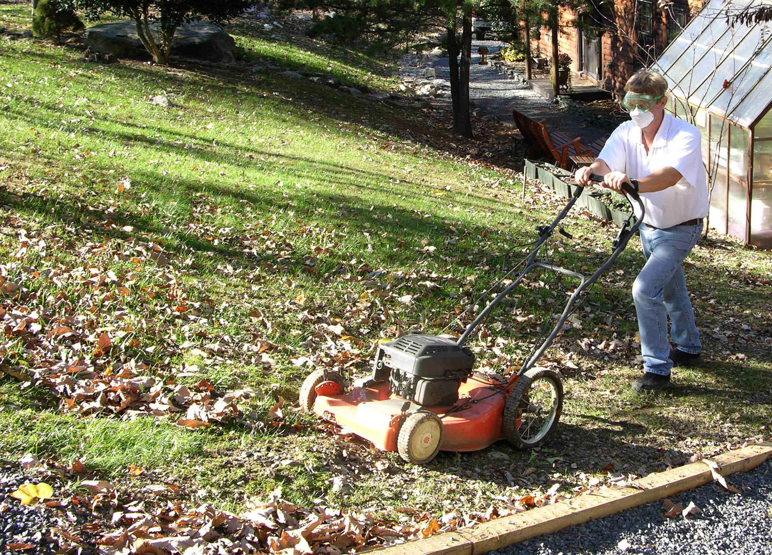 How to add leaf mulch to lawns; tips to prune azaleas WTOP