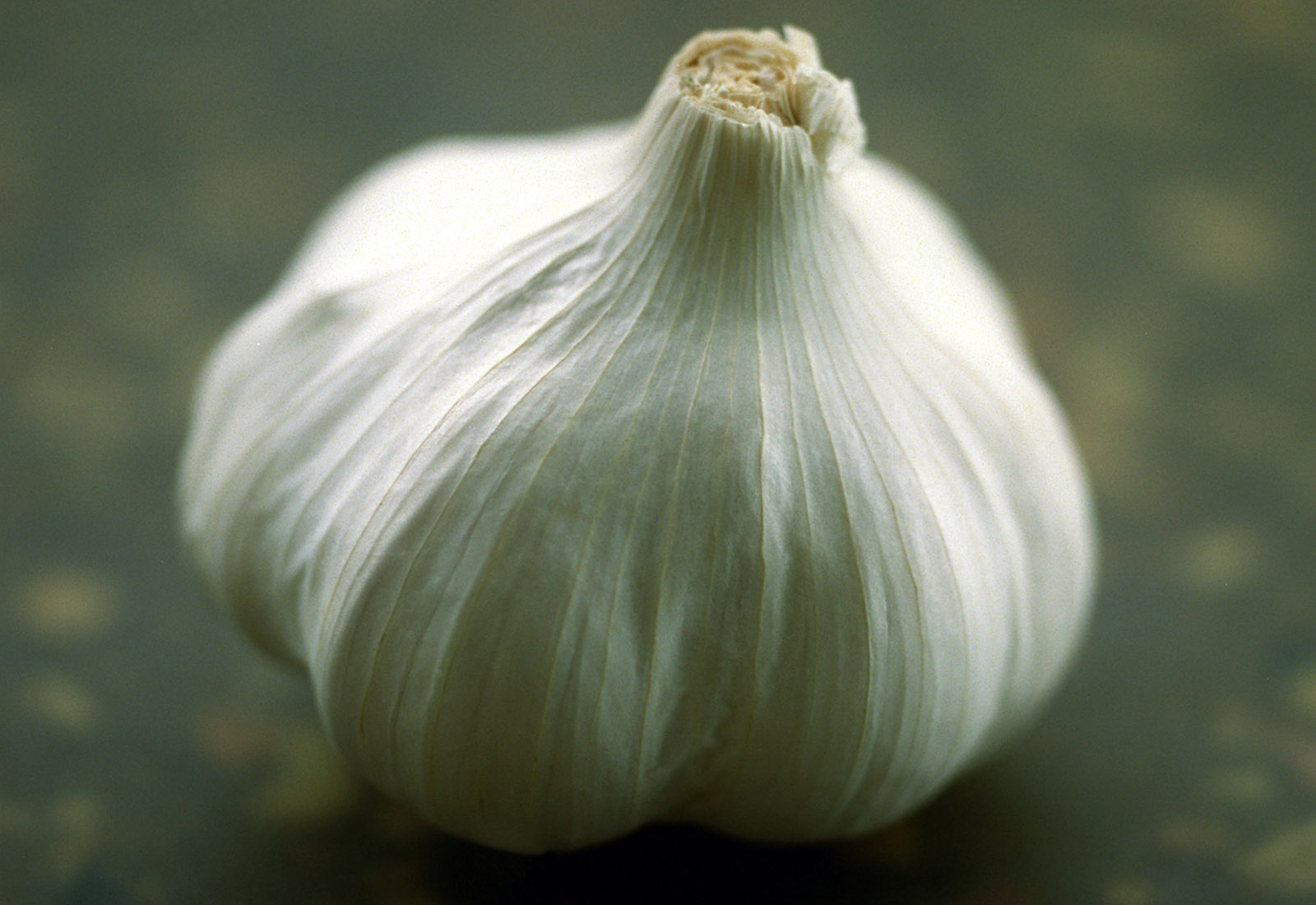 ‘Head lice’ on peppers, hardneck garlic and smut on your lawn WTOP News