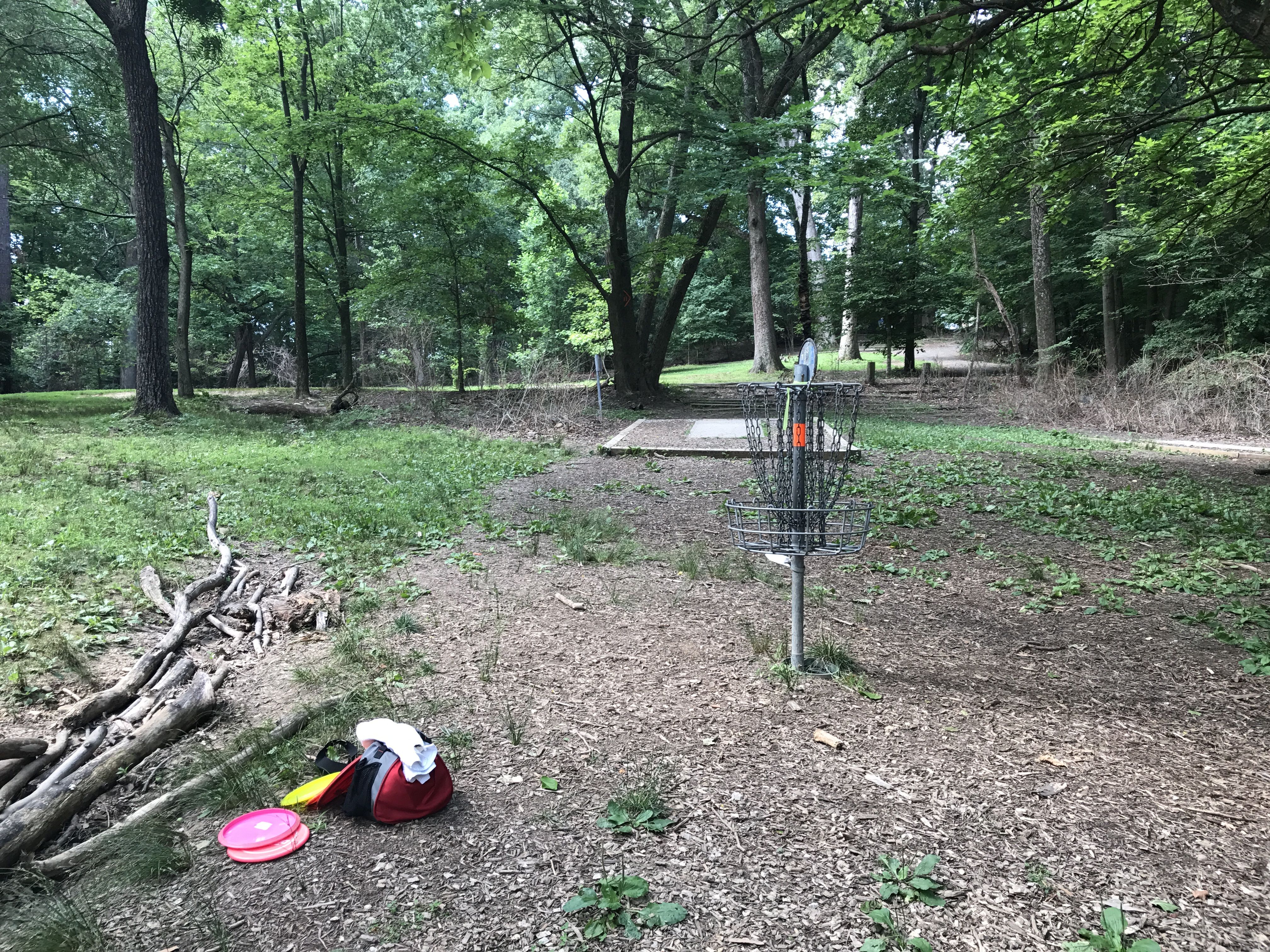 Fun, physical and (almost) free Disc golf in the DC area WTOP News