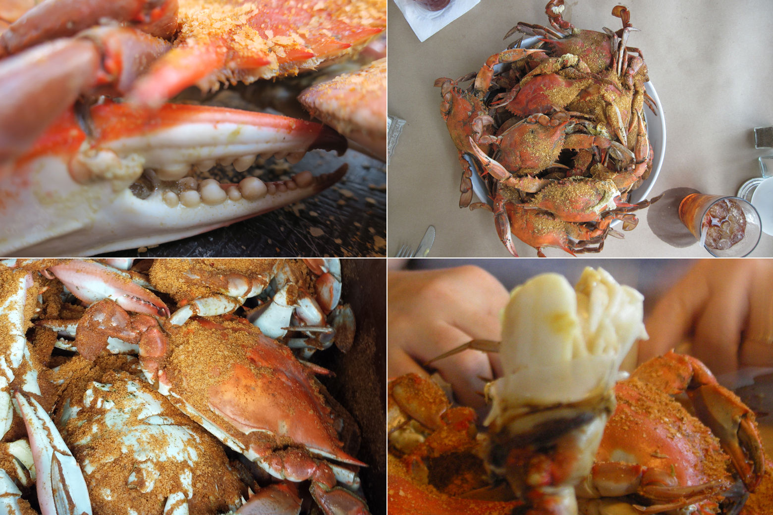 Eastern Shore crab houses worth visiting WTOP