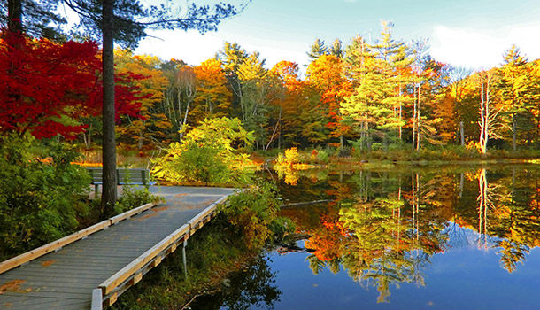 Photos America’s 21 best spots for a fall vacation WTOP