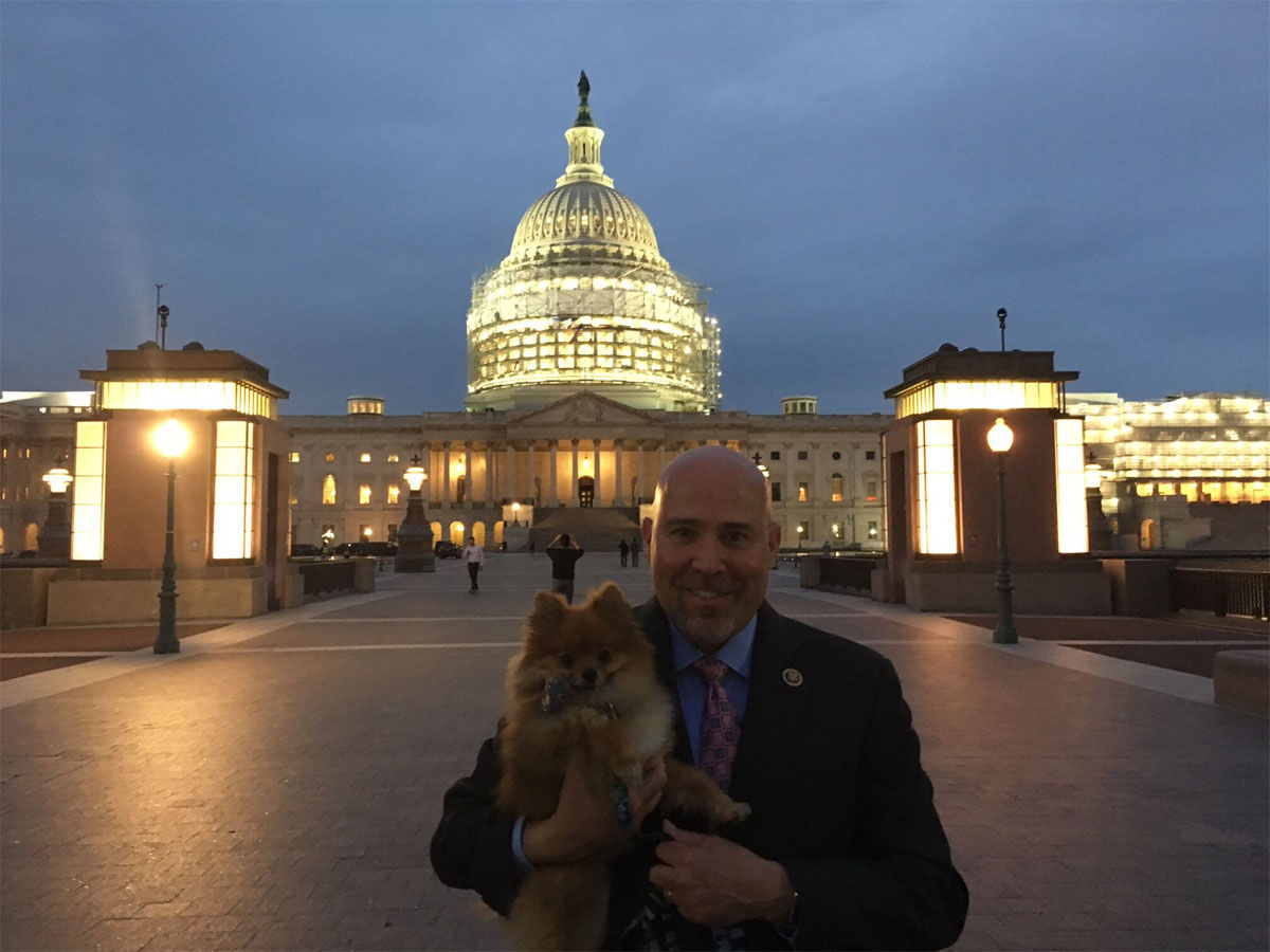 Photos The dogs and cats of Congress WTOP News