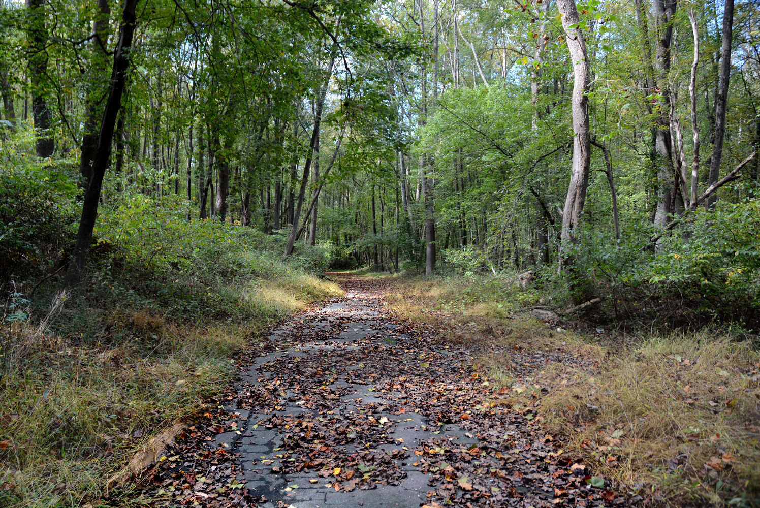 Ghost Roads IV Abandoned highways in Md., Va. WTOP News