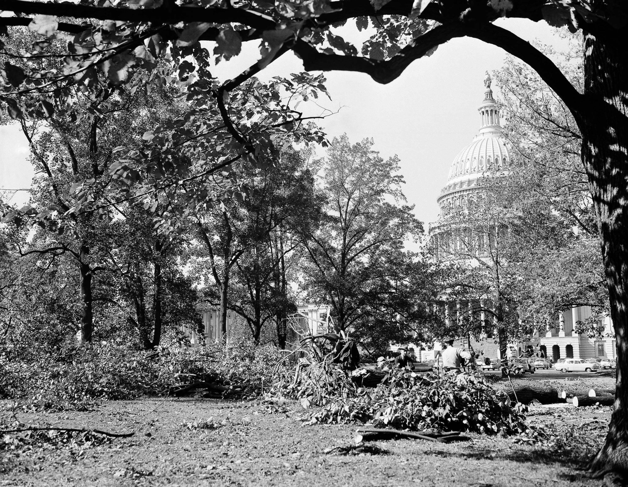 Hurricane history DC region’s worst tropical disasters WTOP