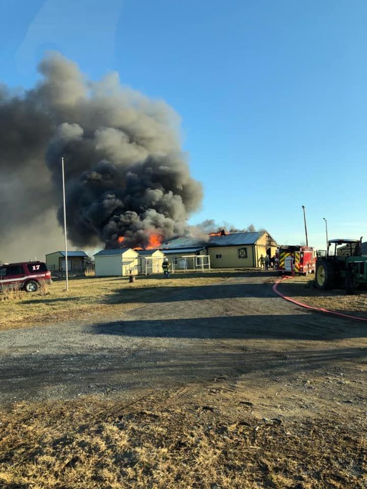 8 horses killed in Frederick Co. barn fire WTOP News