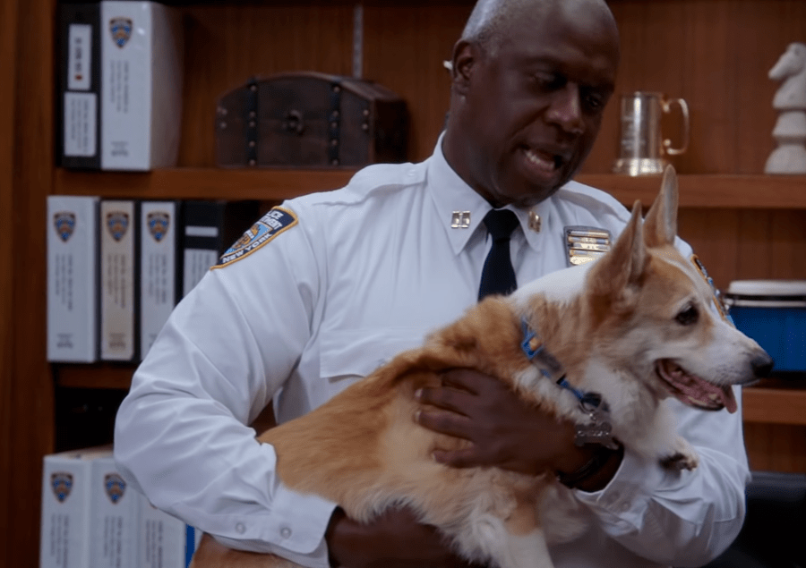 The dog who plays Cheddar on Brooklyn 99 has passed away ResetEra