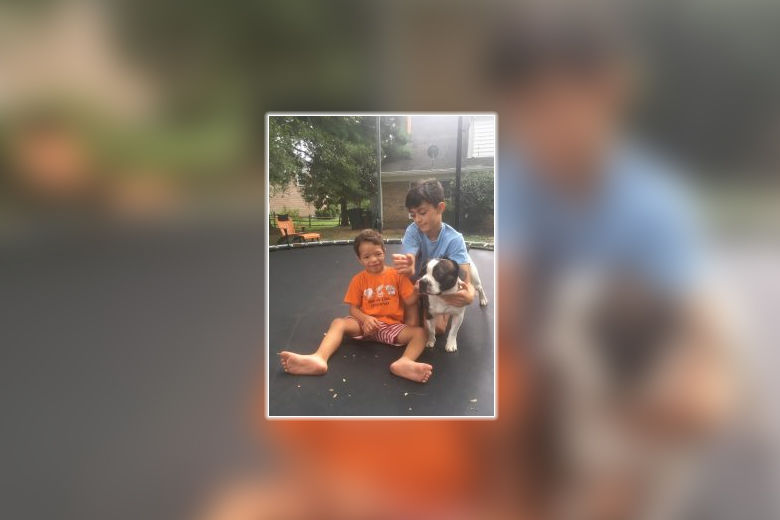 Missing for 3 months, emotional support dog reunited with 4yearold