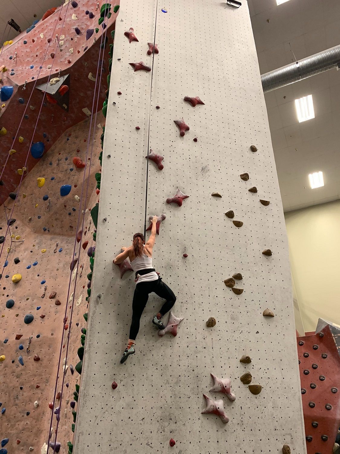 Top of the rock Speed climbing comes to Olympics, Rockville WTOP News