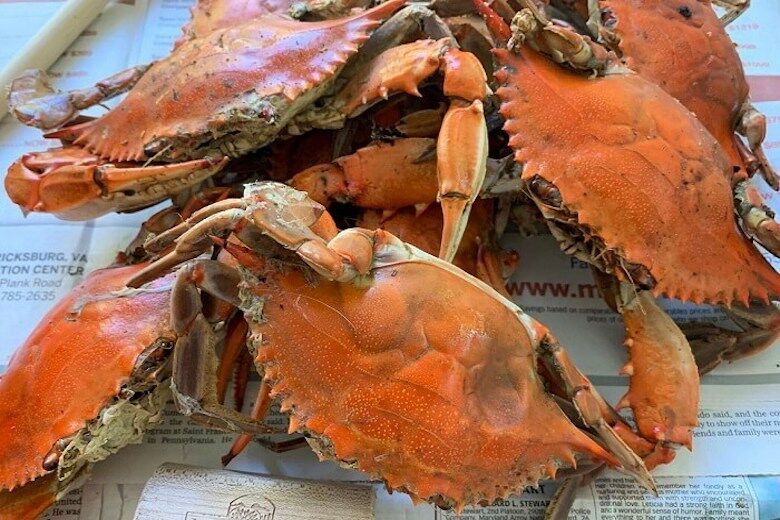 Md. crabbing industry fears longterm impacts of 2020 visa shortages