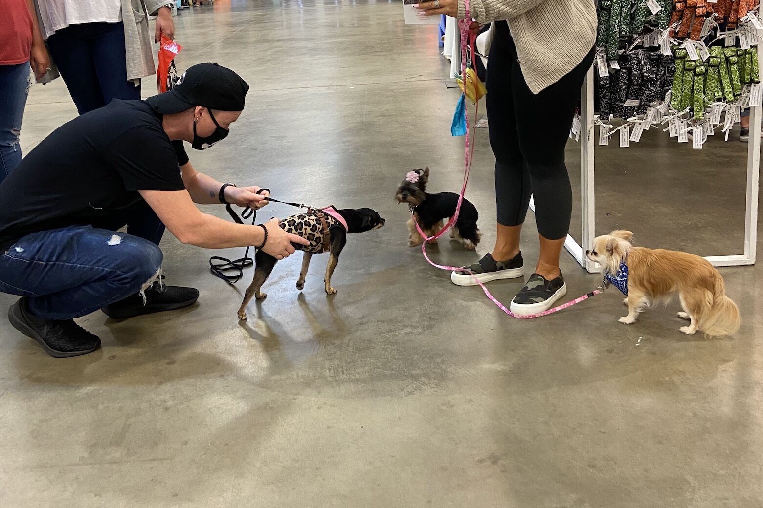 Super Pet Expo offers its first inperson event in Virginia since