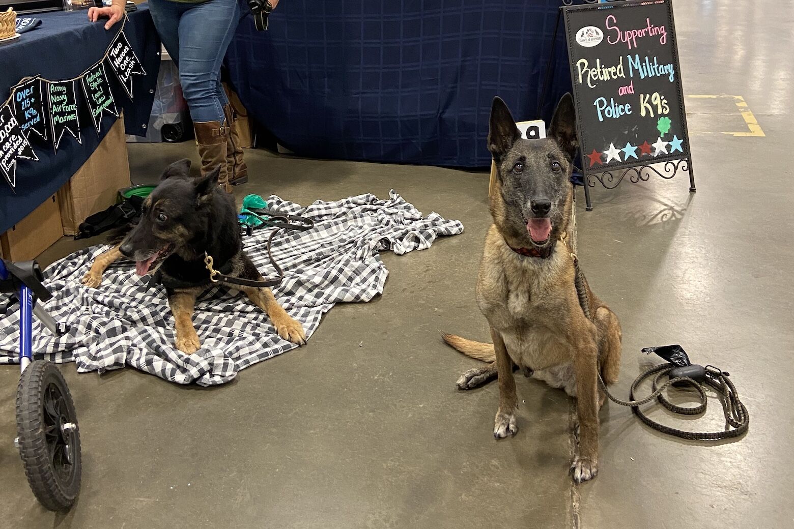 Super Pet Expo offers its first inperson event in Virginia since