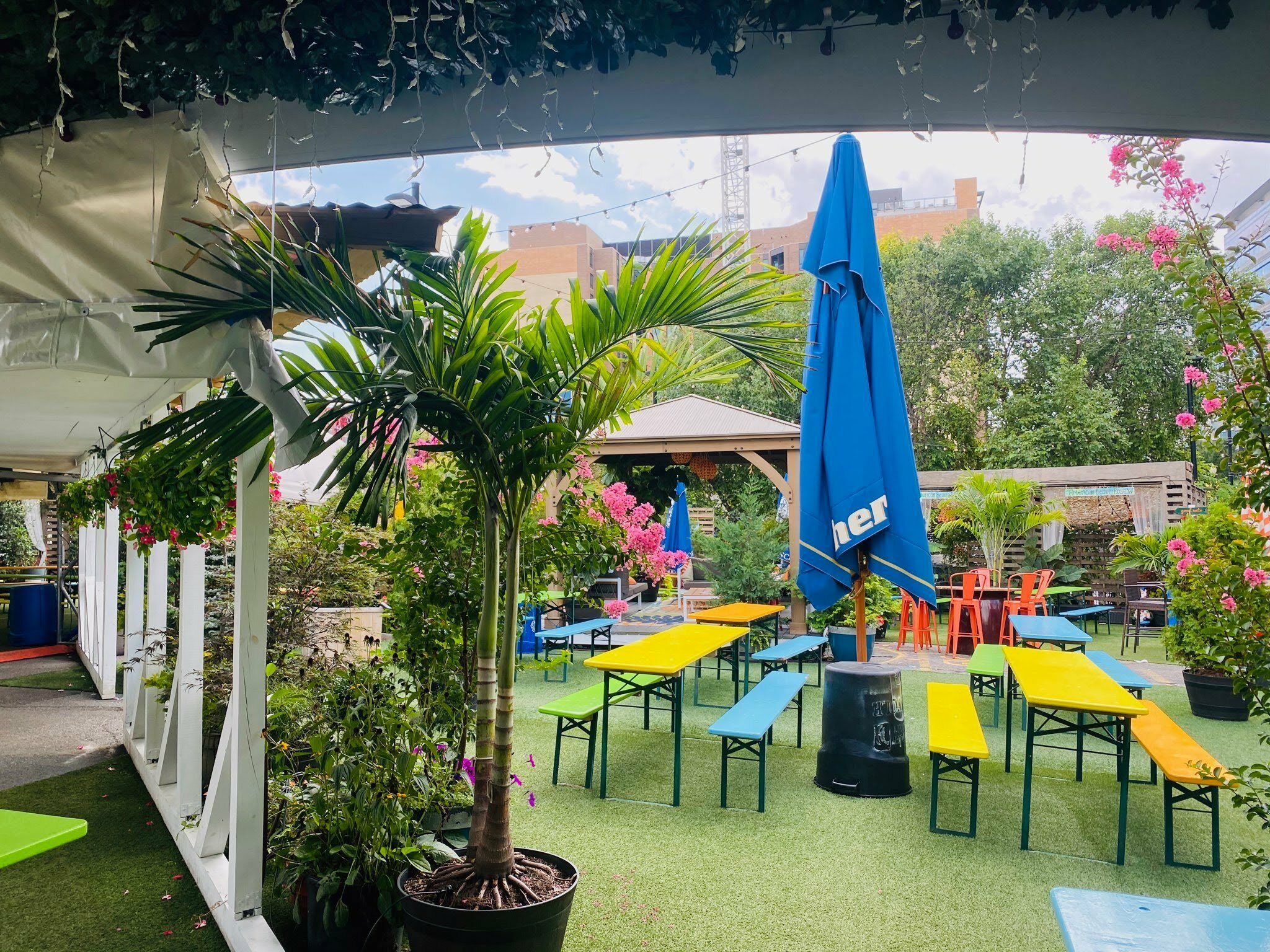 Wunder Garten hosts popups from CHIKO, Toki Underground and more WTOP