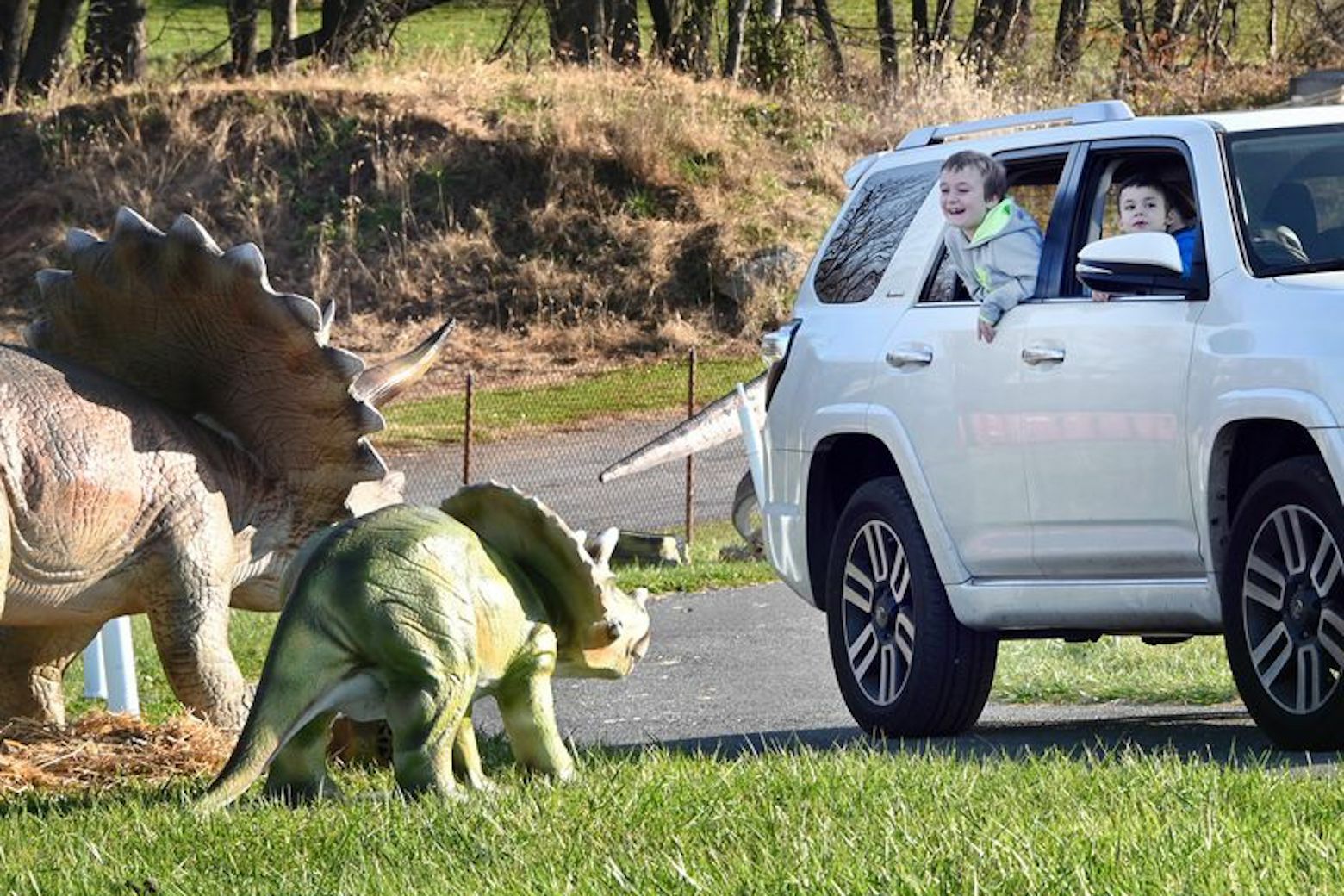 Jurassic Wonder dinosaur drivethru roars into Frederick Fairgrounds