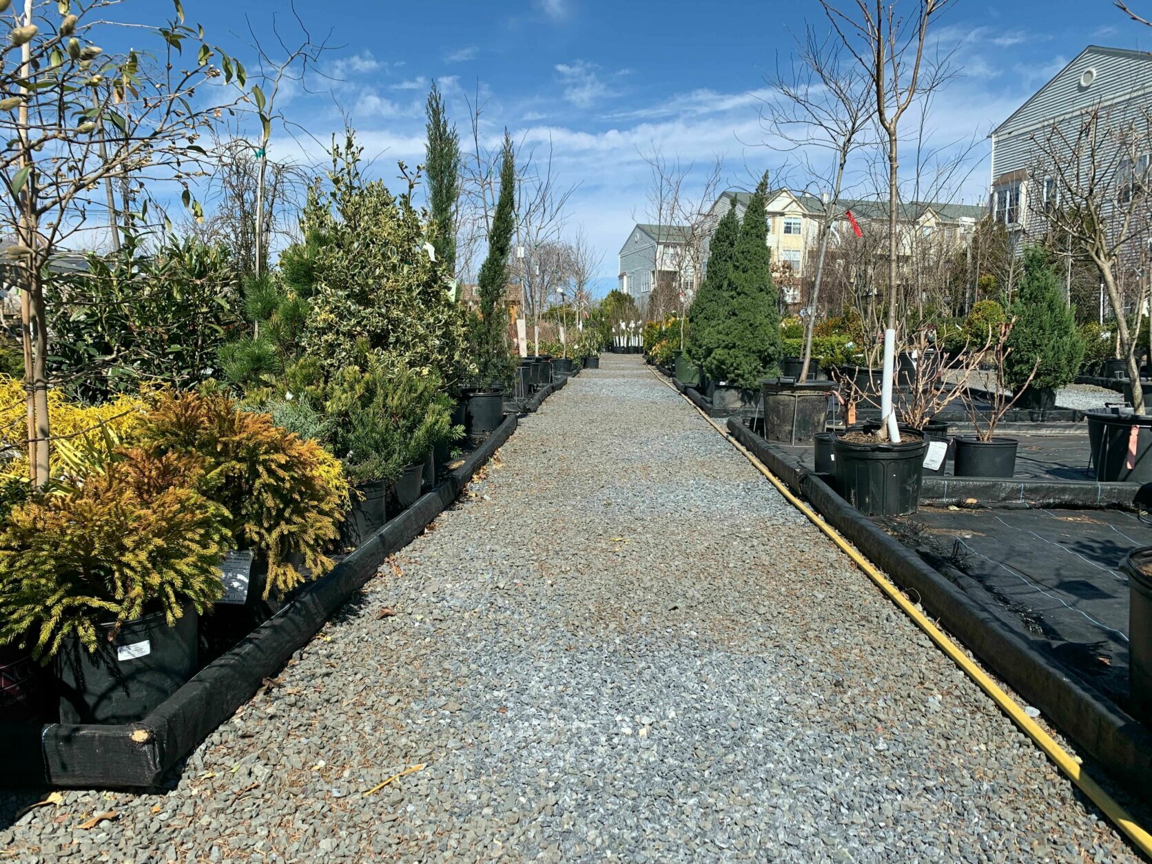 Virginia gardening professional on waking up your backyard this spring
