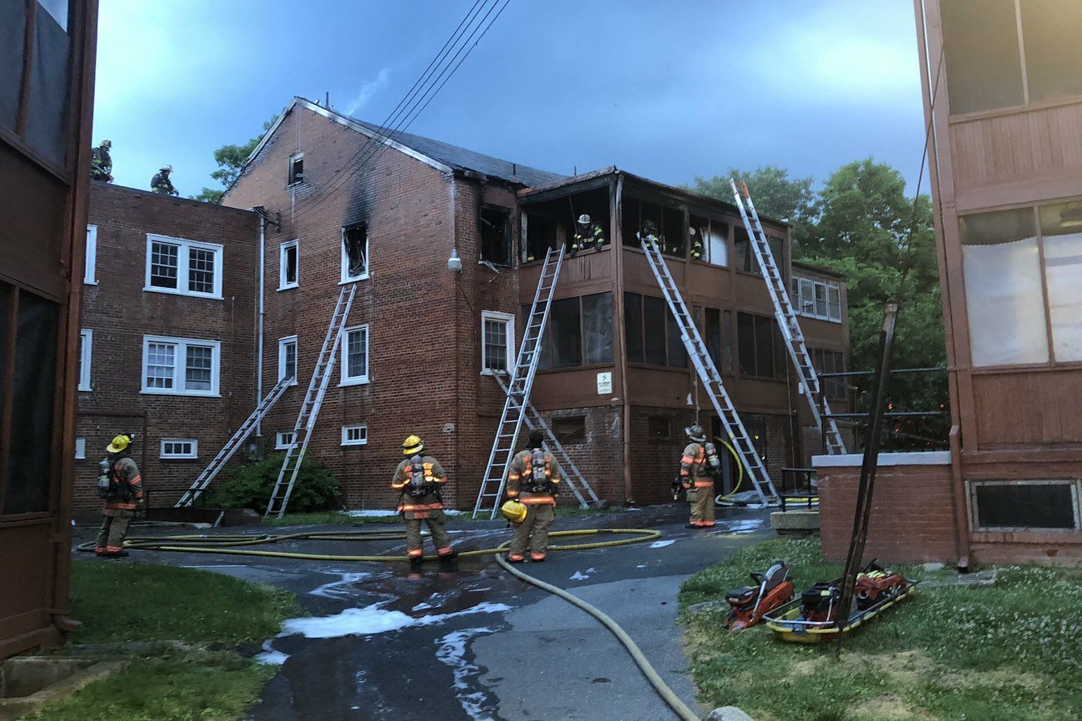 Firefighter injured, dog dies in Silver Spring apartment fire WTOP News