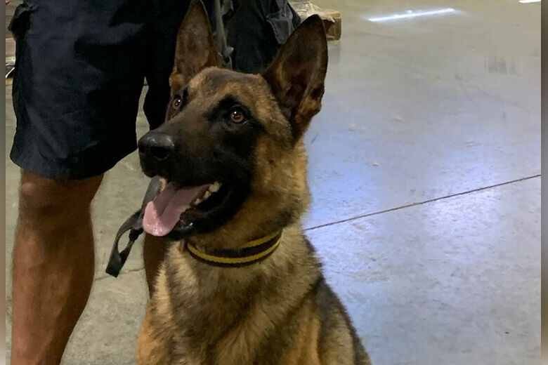 Leesburg police department names its new K9 officer in honor of police