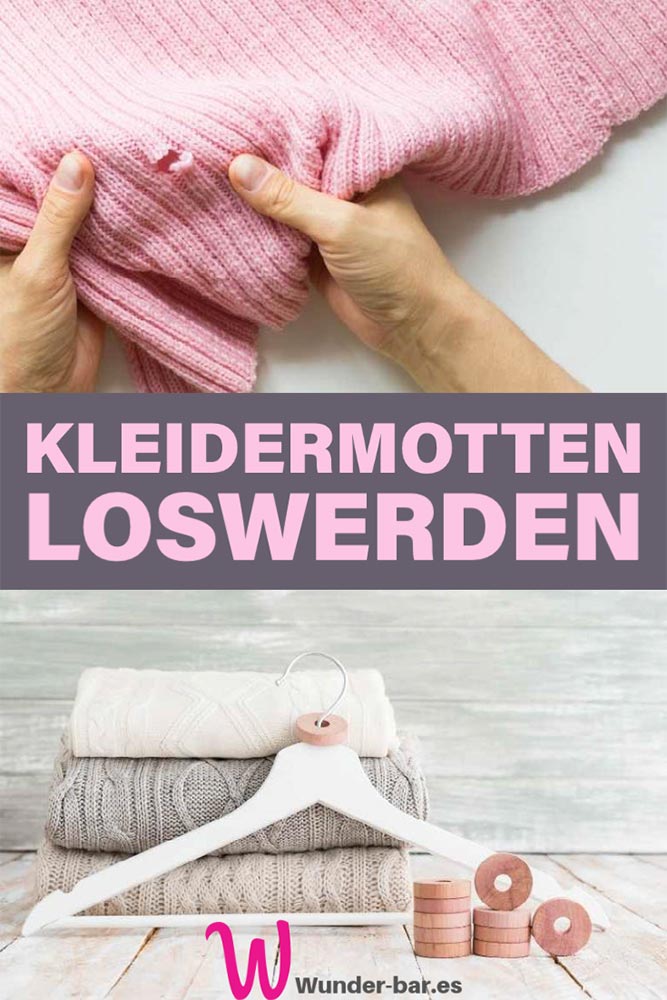 Kleidermotten loswerden mit duftenden, angenehmen Mitteln