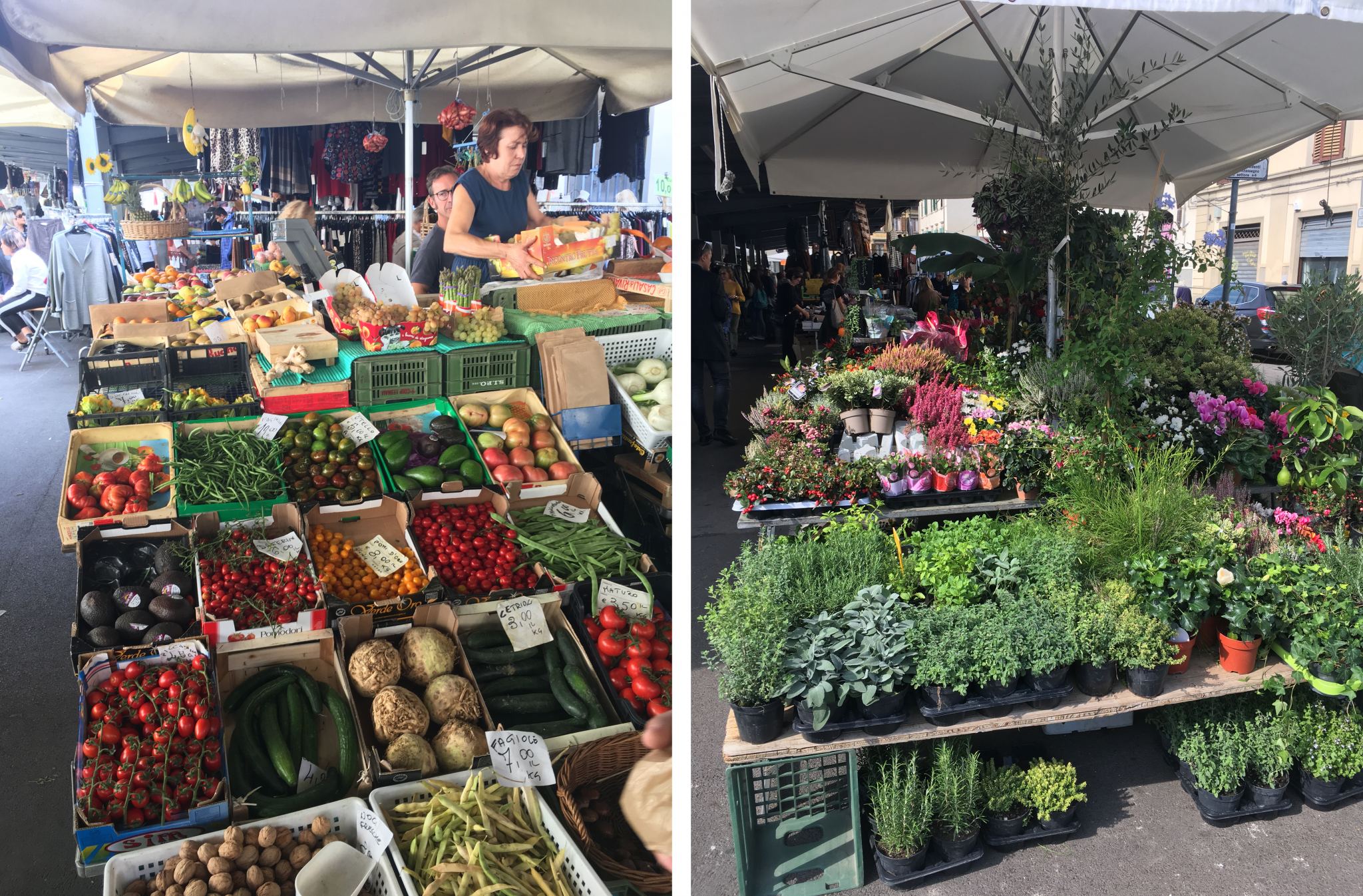 7 Days In Florence, Italy City Breaks Wunderhead Travel Blog