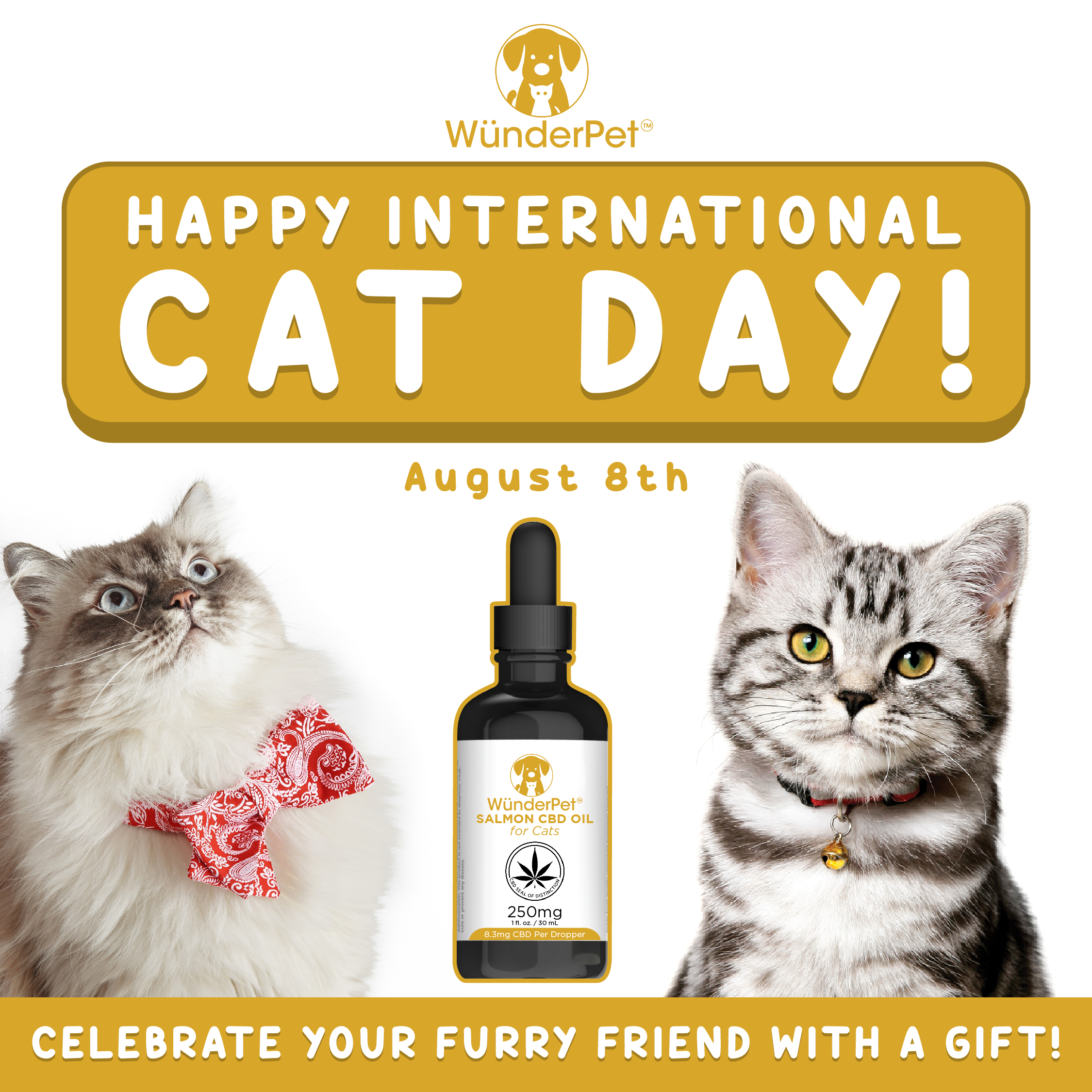 International Cat Day! Wunderpet Oil