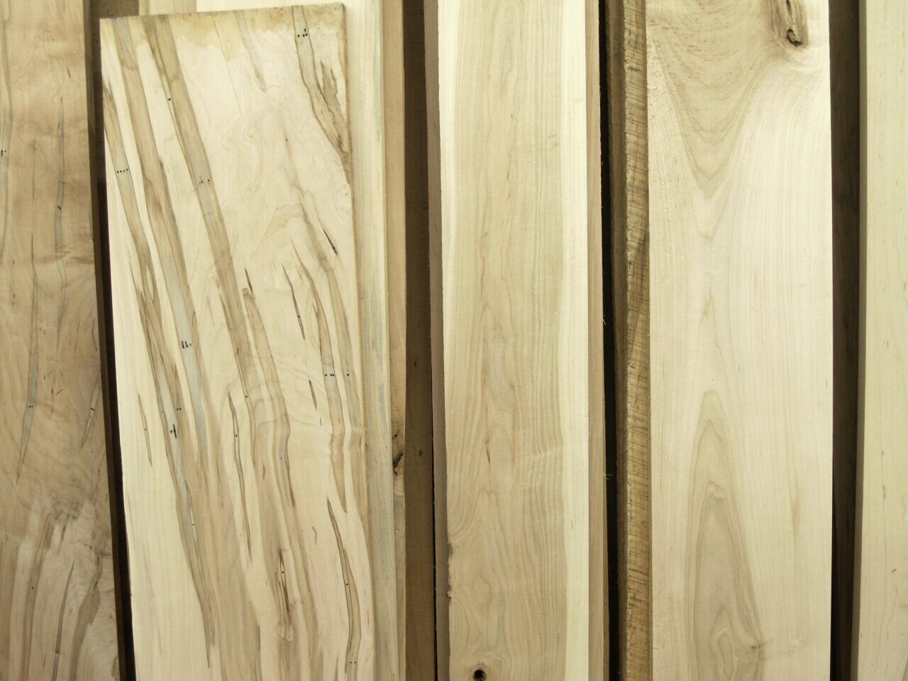 Silver Maple Lumber WunderWoods