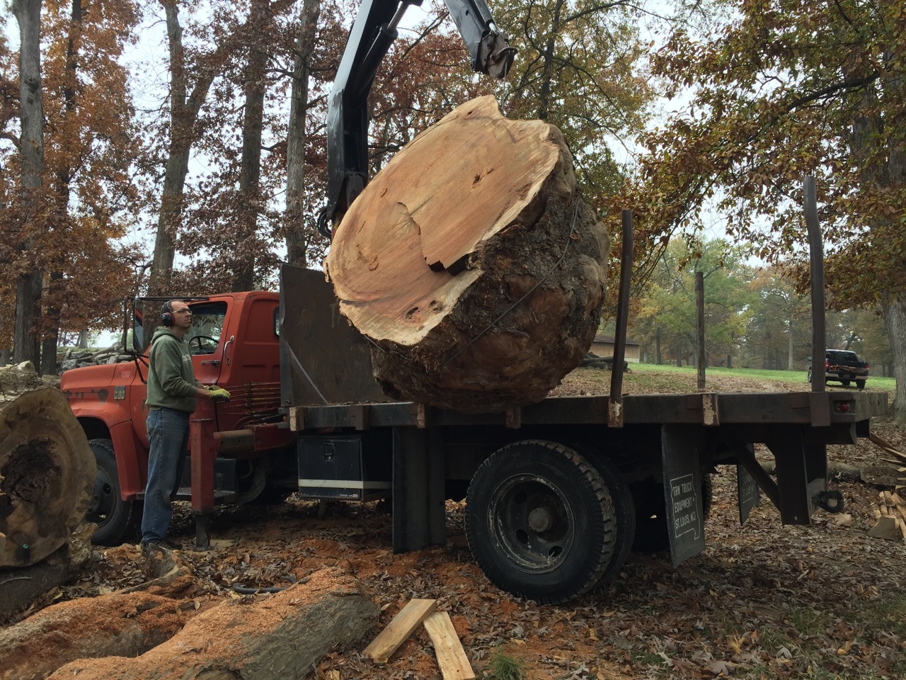 Short Sycamore Log on Its Way to Being a Big Table WunderWoods