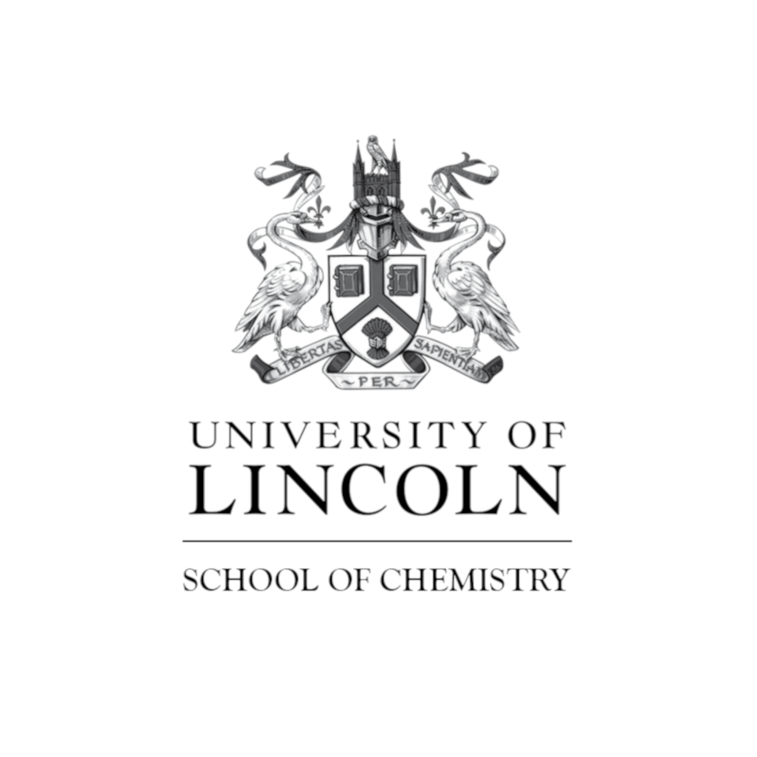 School of Chemistry at Lincoln WUTTKEGROUP