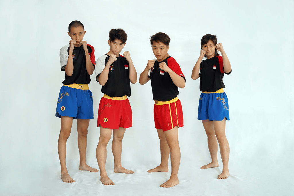 散手 Singapore Wushu Dragon & Lion Dance Federation