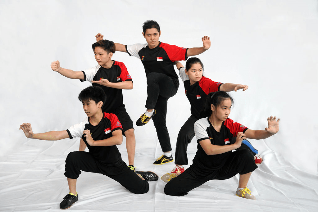 Home Singapore Wushu Dragon & Lion Dance Federation
