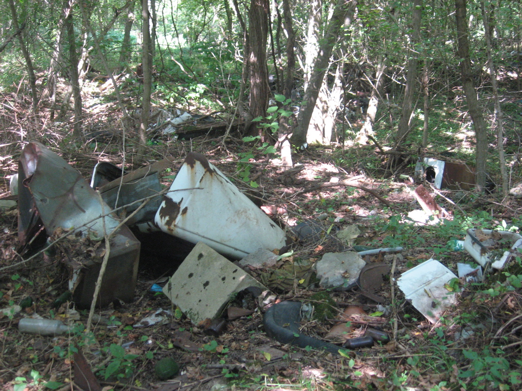 10010_Shepherdstown_LandfillToLibrary_Photo West Virginia Brownfields