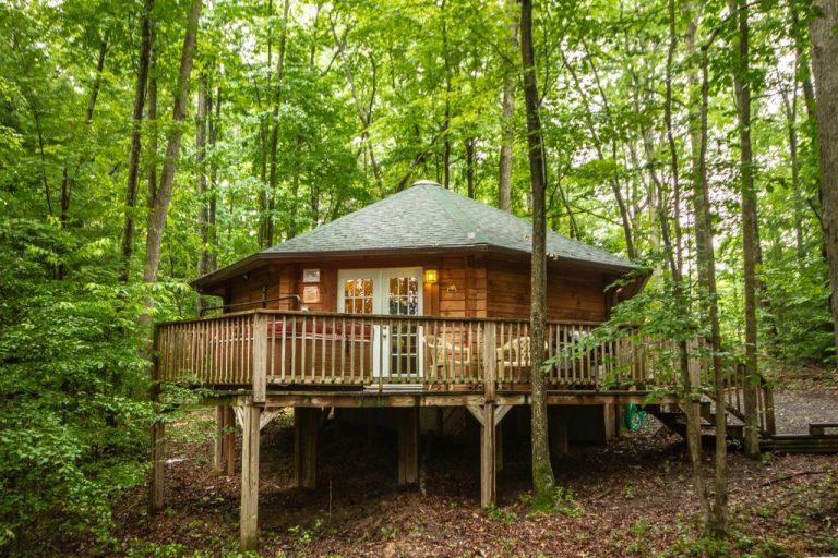 Petfriendly Archives WV Cabins