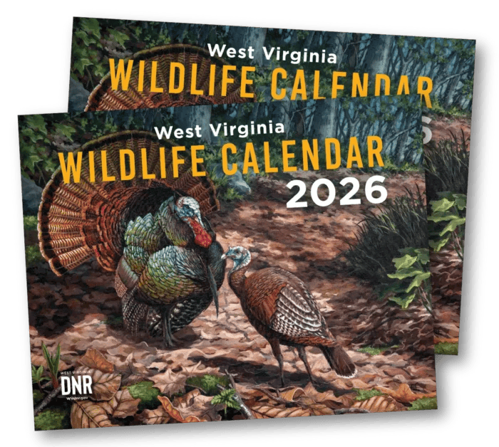 The 2026 West Virginia Wildlife Calendar Is Here