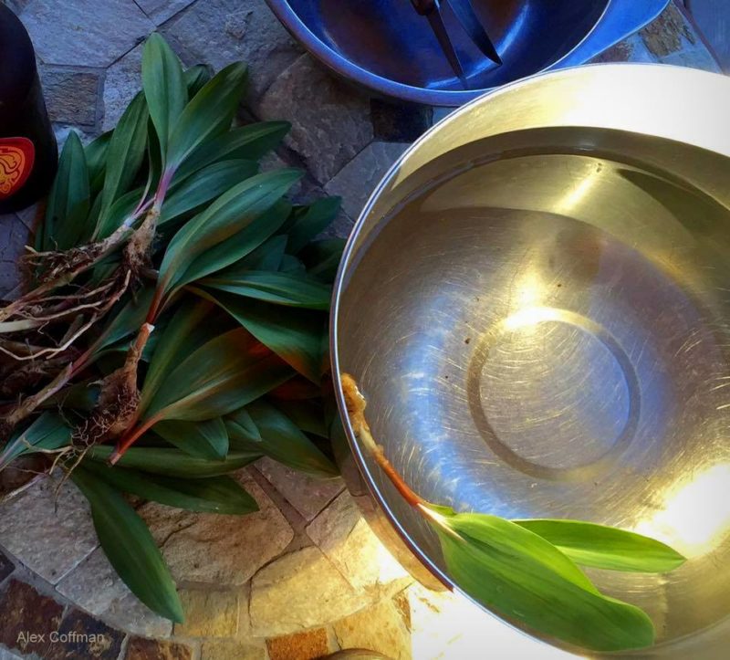 WV Ramps Alex Coffman West Virginia Explorer