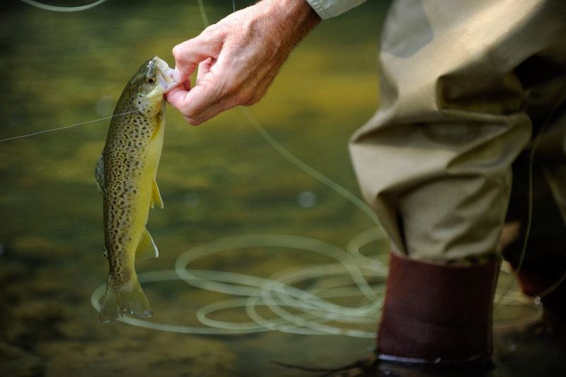 W.Va. officials gear up for free fishing weekend June 10