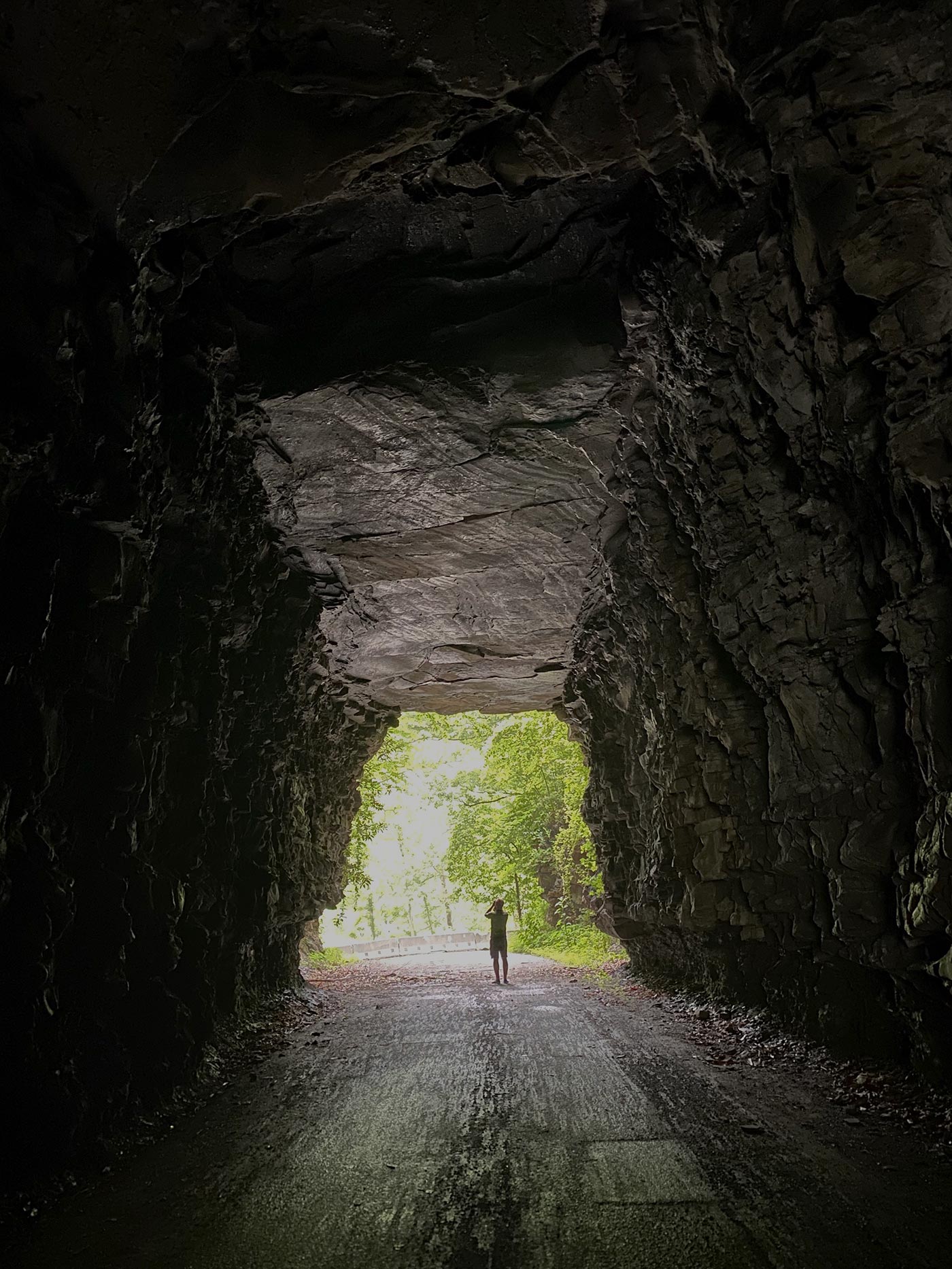Exploring Mercer and McDowell Counties Breeding Bird Surveys WV