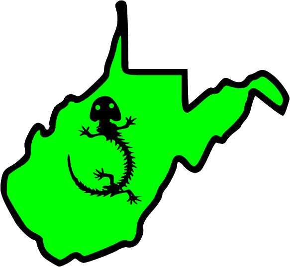 WV Hellbender Motorsports Tourism Route in West Virginia