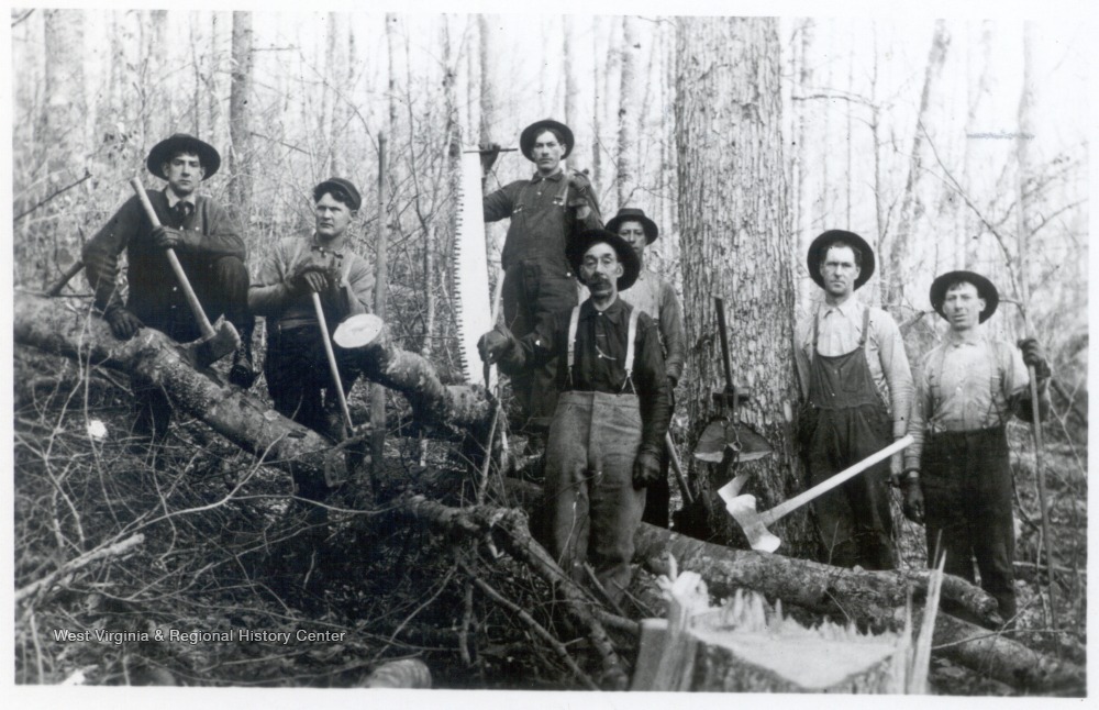 Logging Crew Posed Among Cut Trees West Virginia History OnView WVU