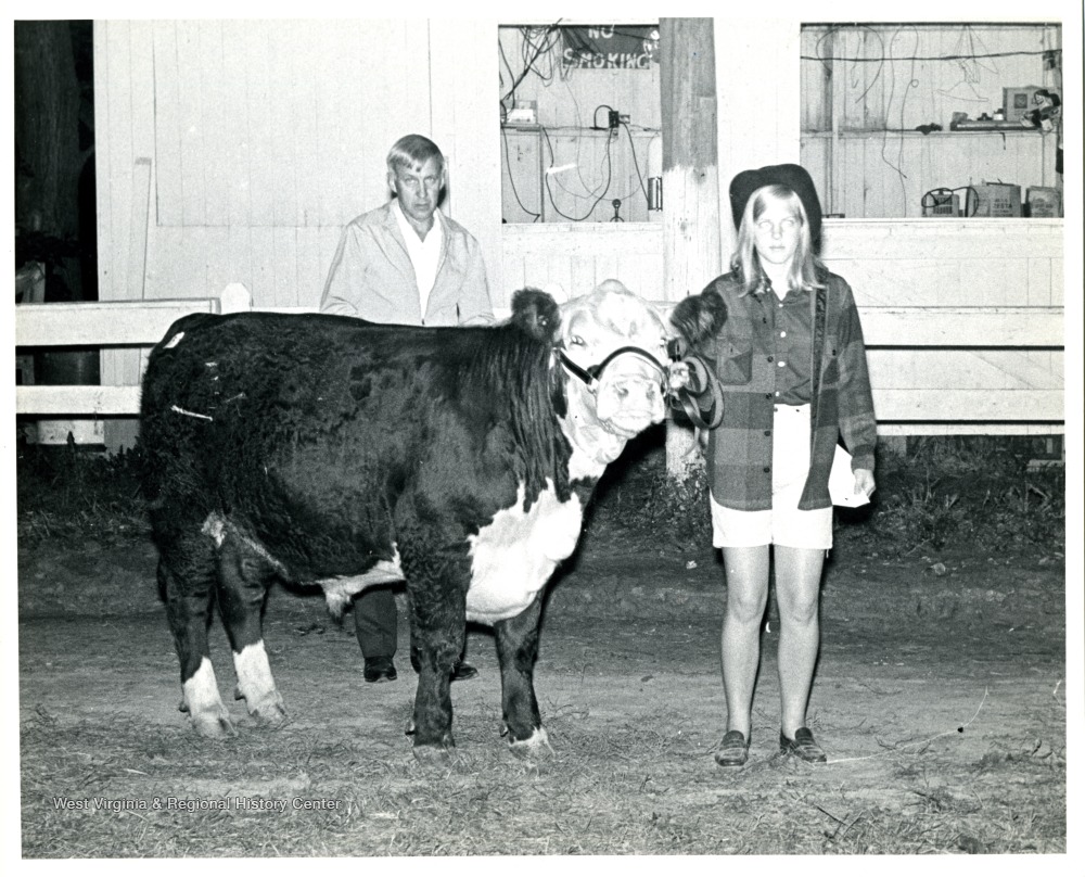 Photo of Prize Steer and Owner at a Livestock Show, Claysville, PA