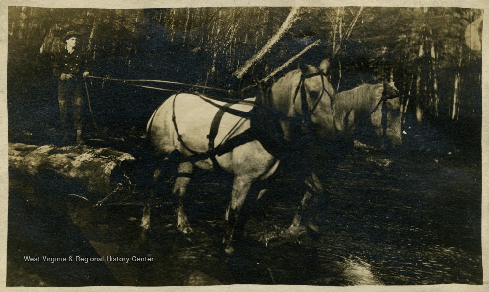 Logging in Montes, W. Va. West Virginia History OnView WVU Libraries