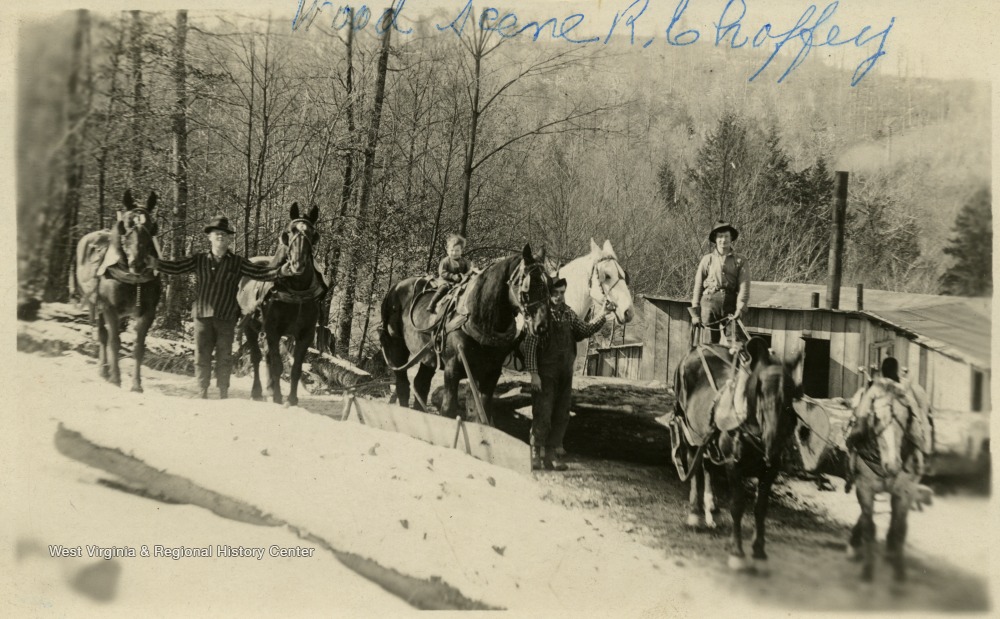 'Wood Scene, R. Chaffey', Hauling Felled Trees, Tucker County, W. Va
