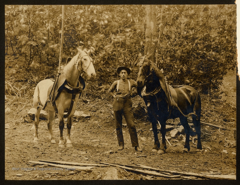 Charles Thomas and Horses, Goshen, W. Va. West Virginia History